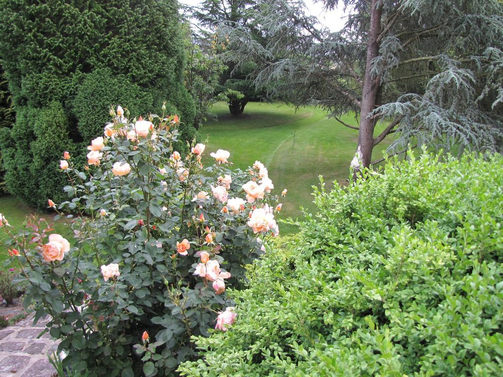 فيلا Gite Broceliande Baulon الغرفة الصورة